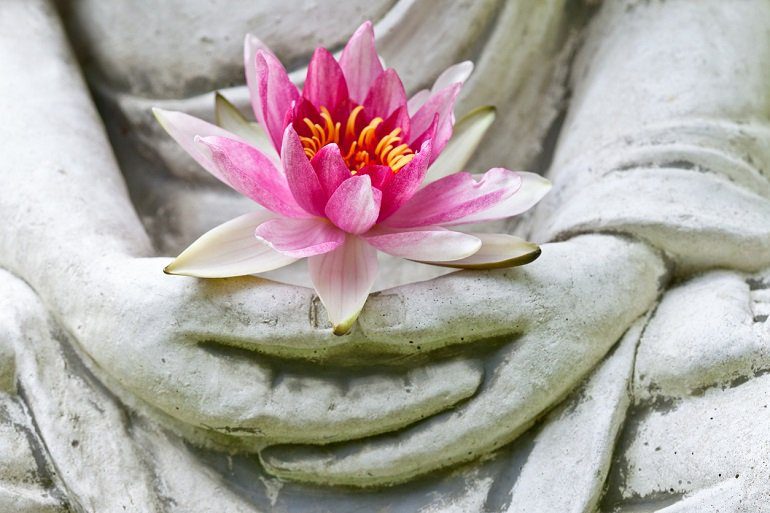 Imagen de una flor en las manos de Buda. Los Supervivientes por suicidio.