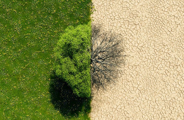 Cambioclimático Protección civil y cambio climático en la Comunidad de Madrid. Entrevista a Manuel Zarazaga.