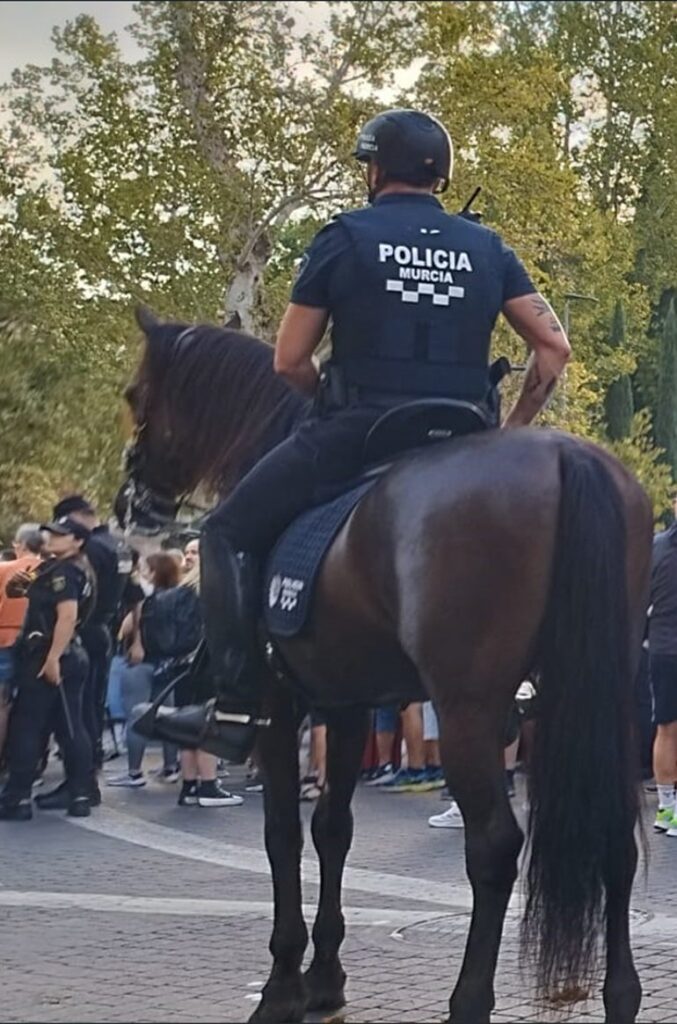 Caballería de la Policía Local de Murcia: despliegue y capacidades