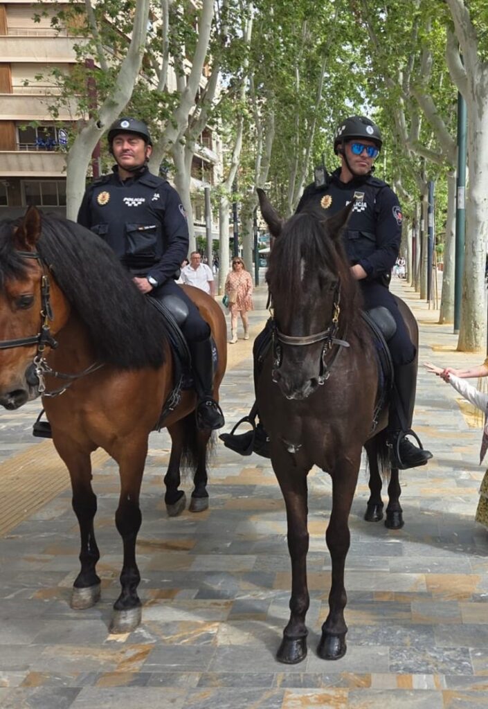 6 Caballería de la Policía Local de Murcia: despliegue y capacidades