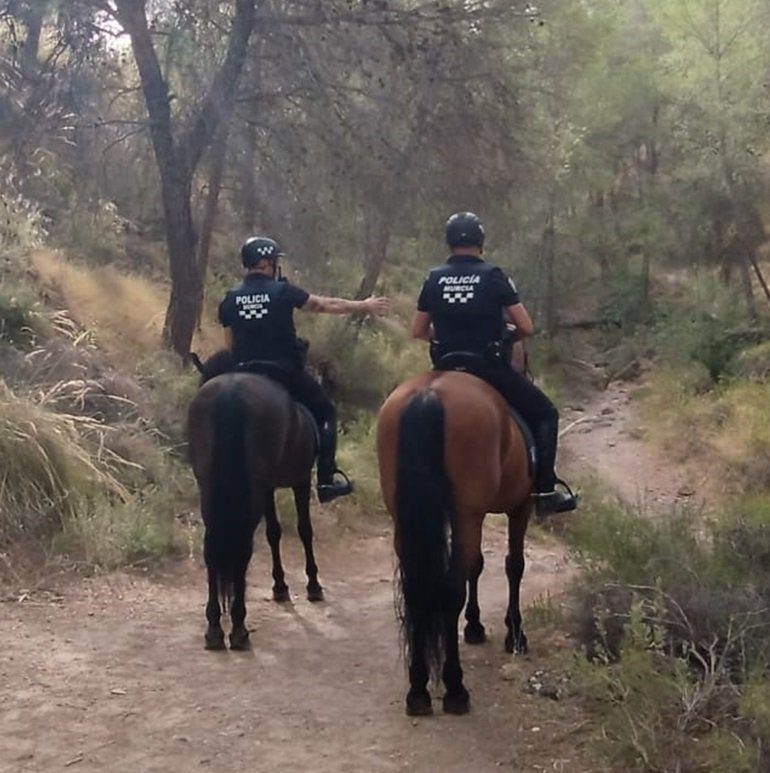 Caballería de la Policía Local de Murcia: despliegue y capacidades