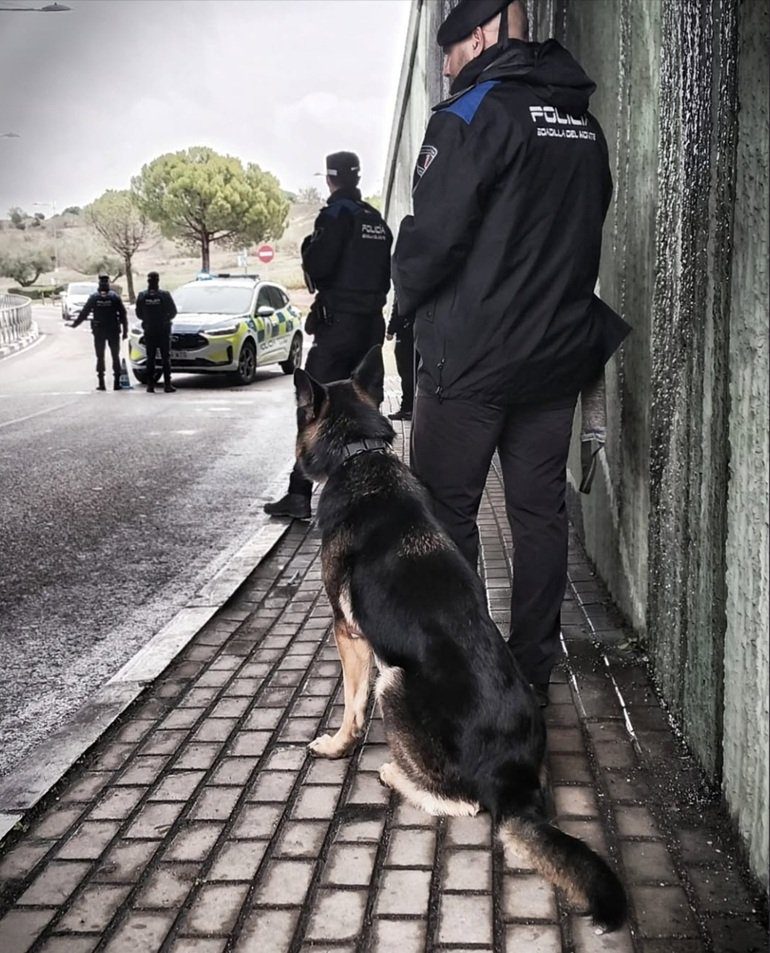 Boadilla del Monte: exigencia operativa y modelo policial local