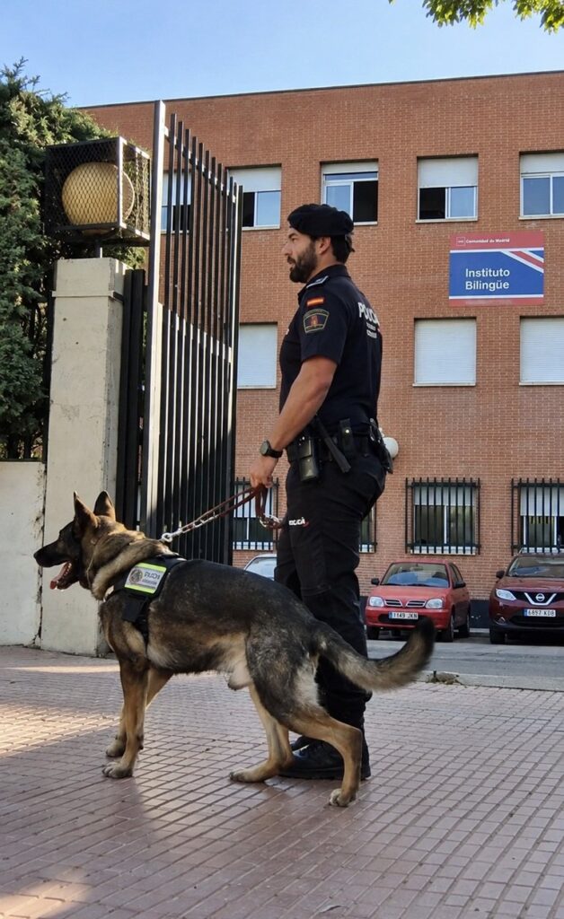 Unidad Canina de la Policía Municipal de Móstoles. Entrevista al Comisario Principal-jefe, Juan Manuel Arribas Reyes y al Comisario Pedro Canales Rosado. “Unidad Canina de Móstoles: 30 años de capacidad policial”.